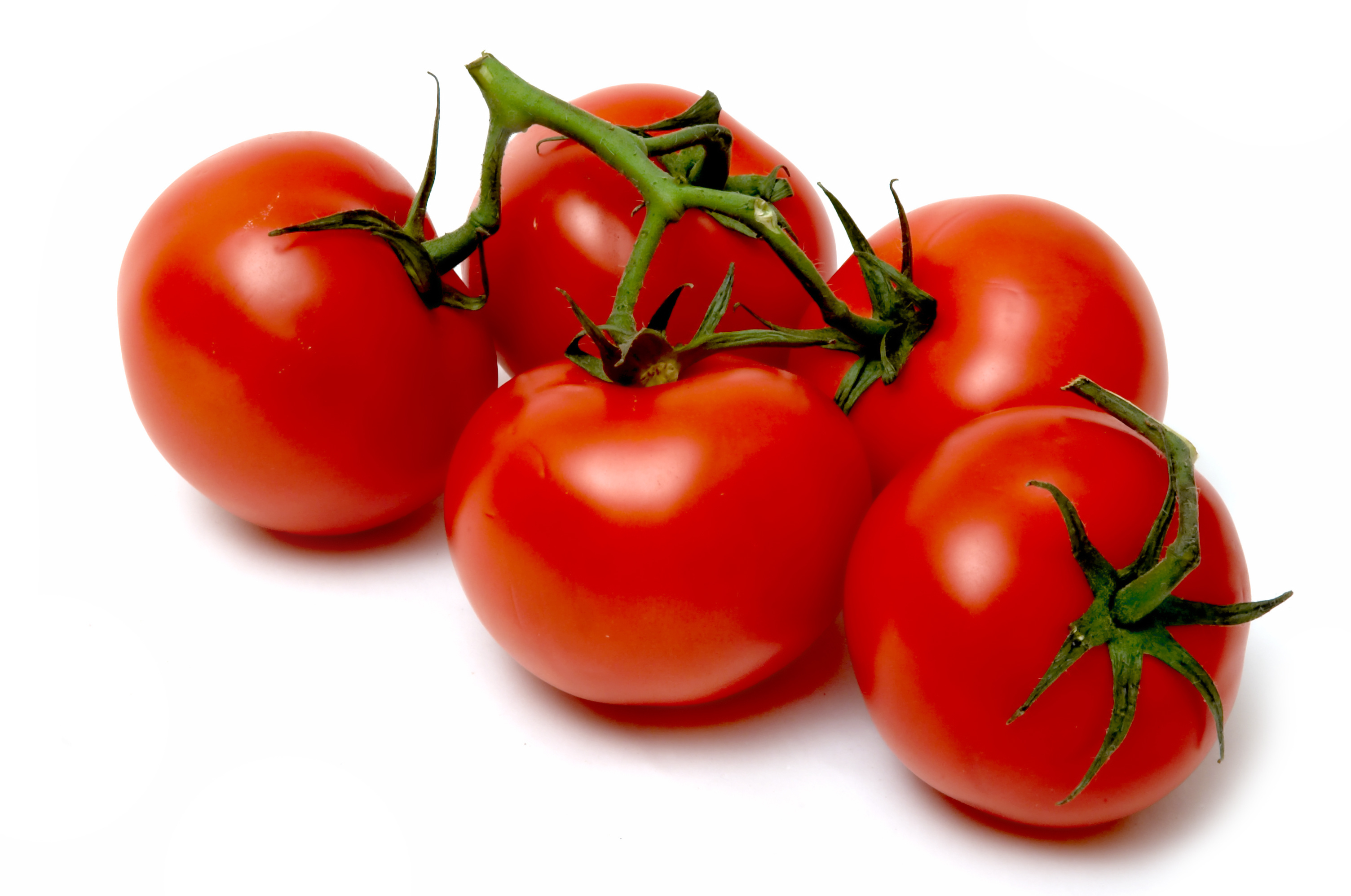 Tomaten F1 Pannovy
