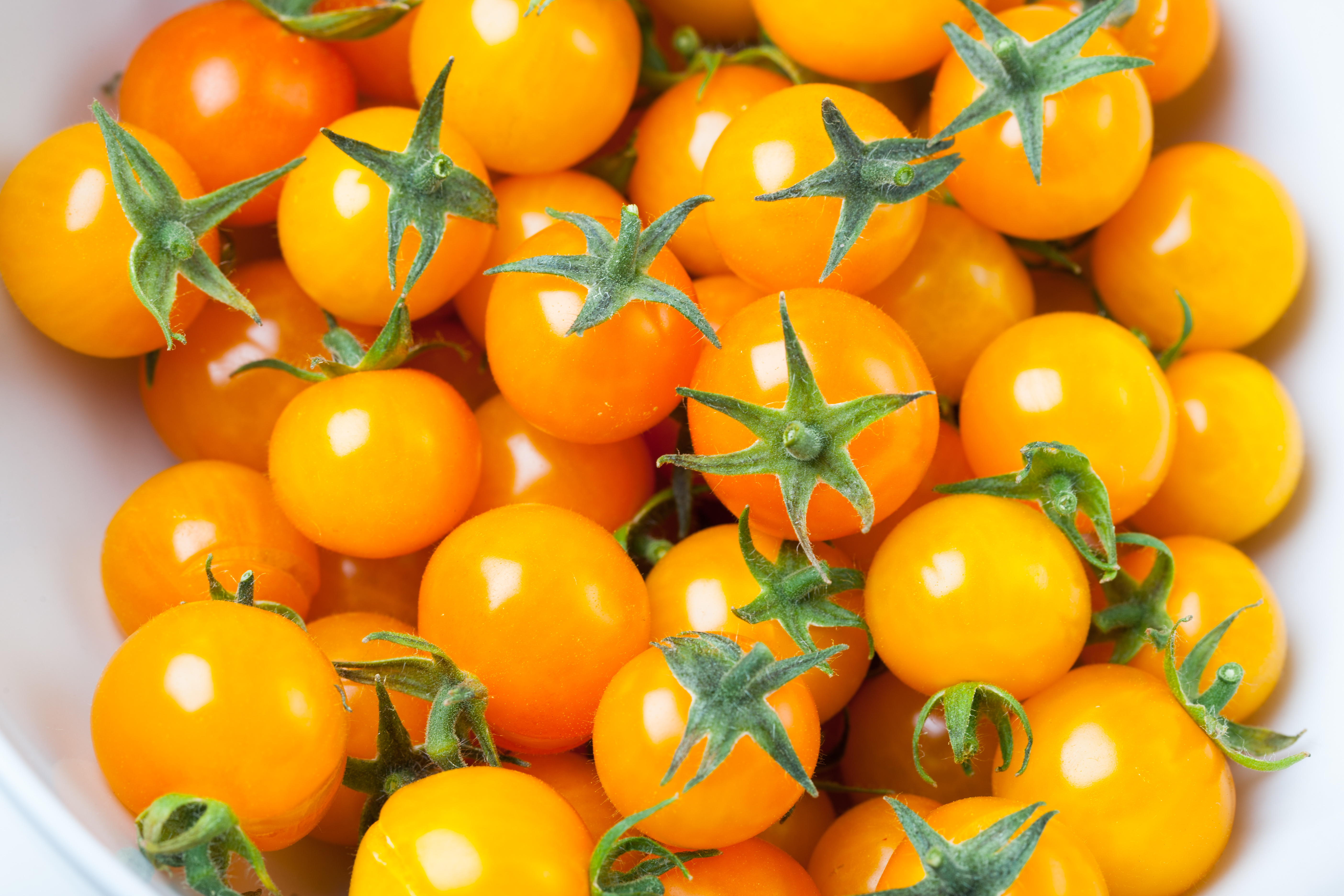 Tomaten Mirabell