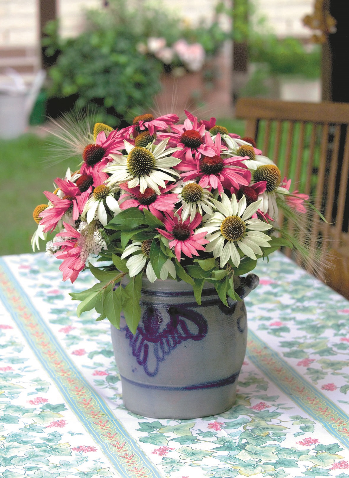 Echinacea purpurea Primadonna Weiß