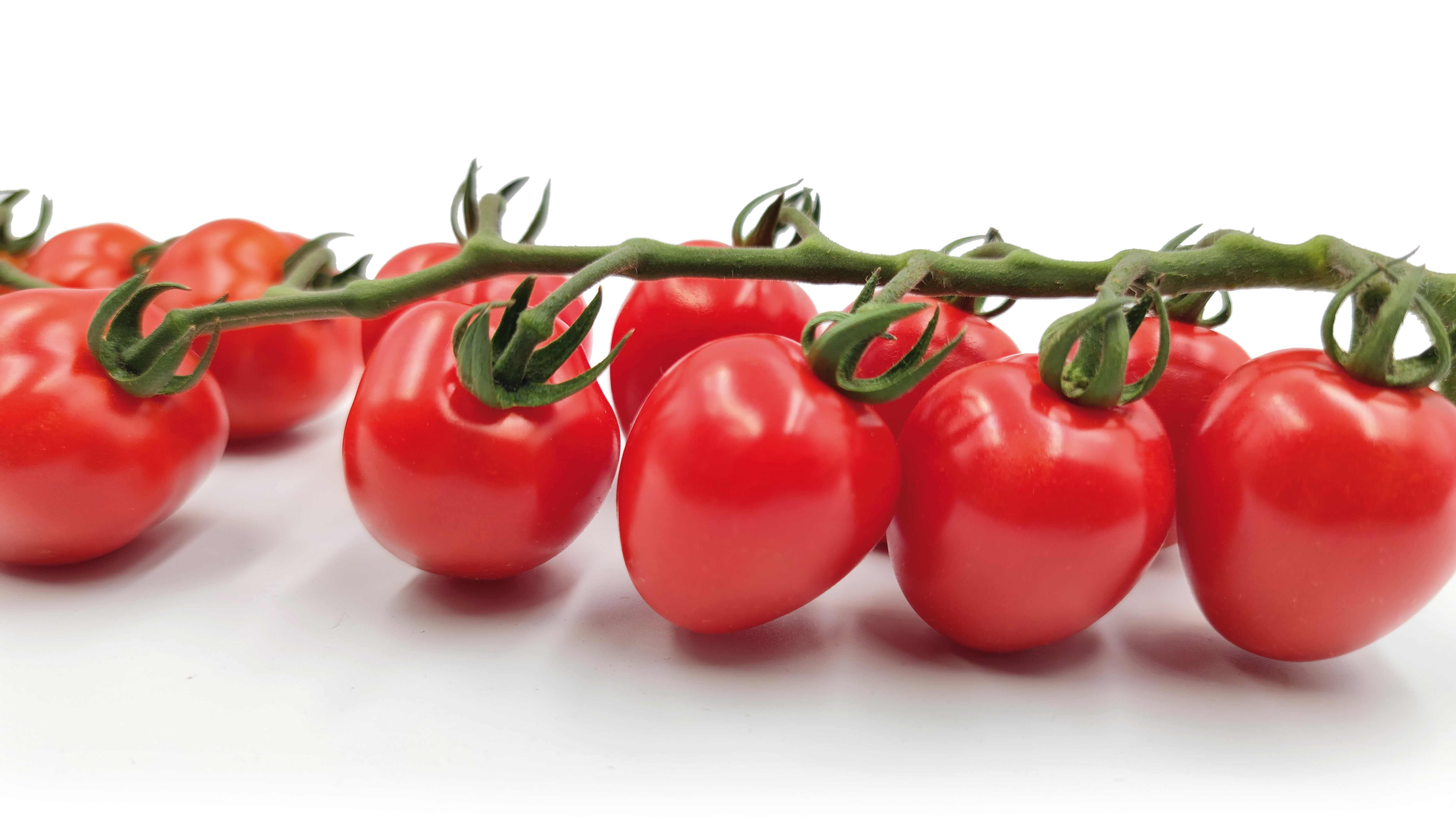 Tomate F1 Appleberry Red