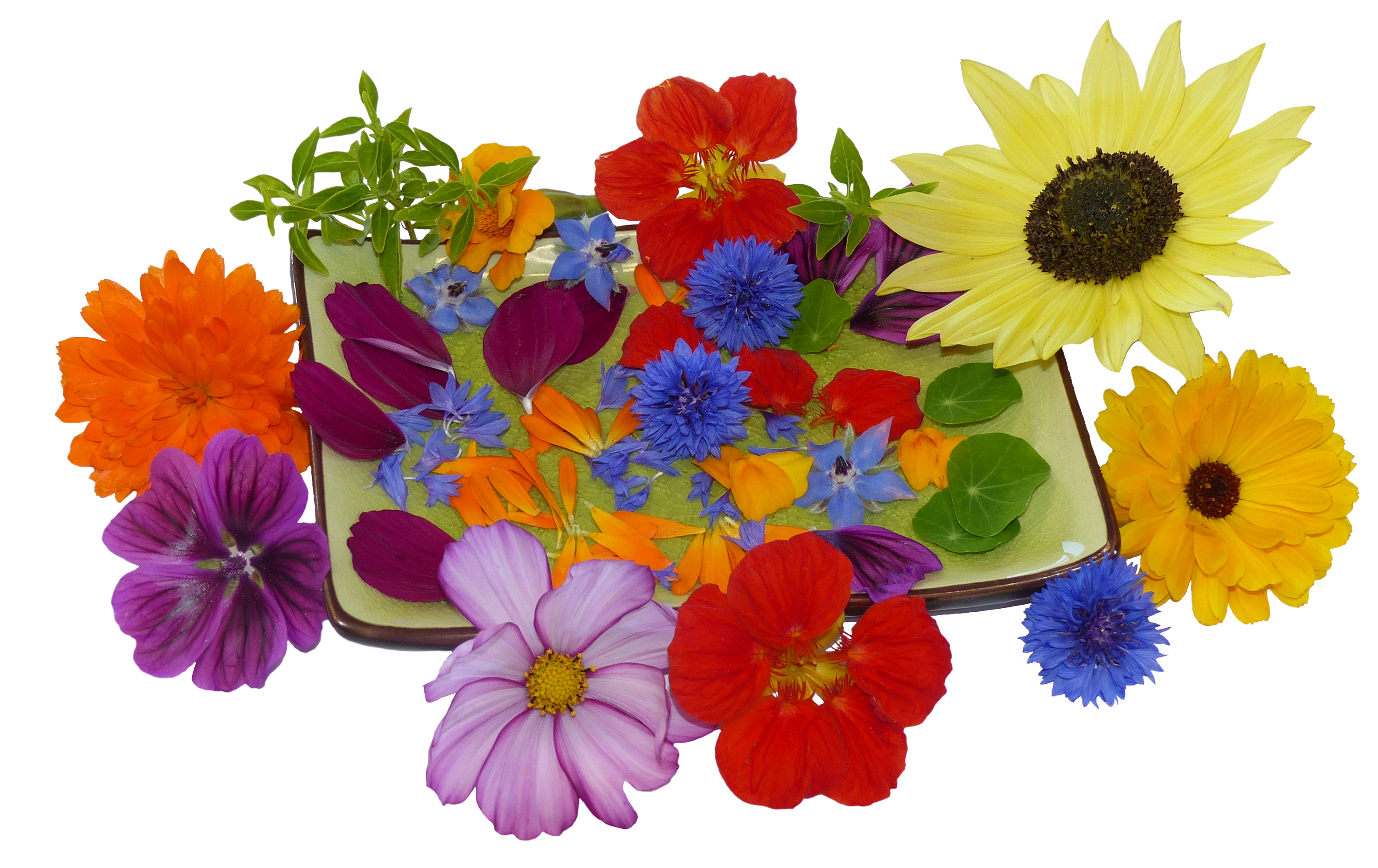 Blumenmischungen essbare Blumen