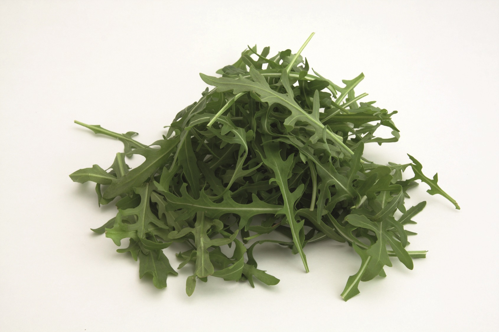 Rucola coltivata (Salatrauke)