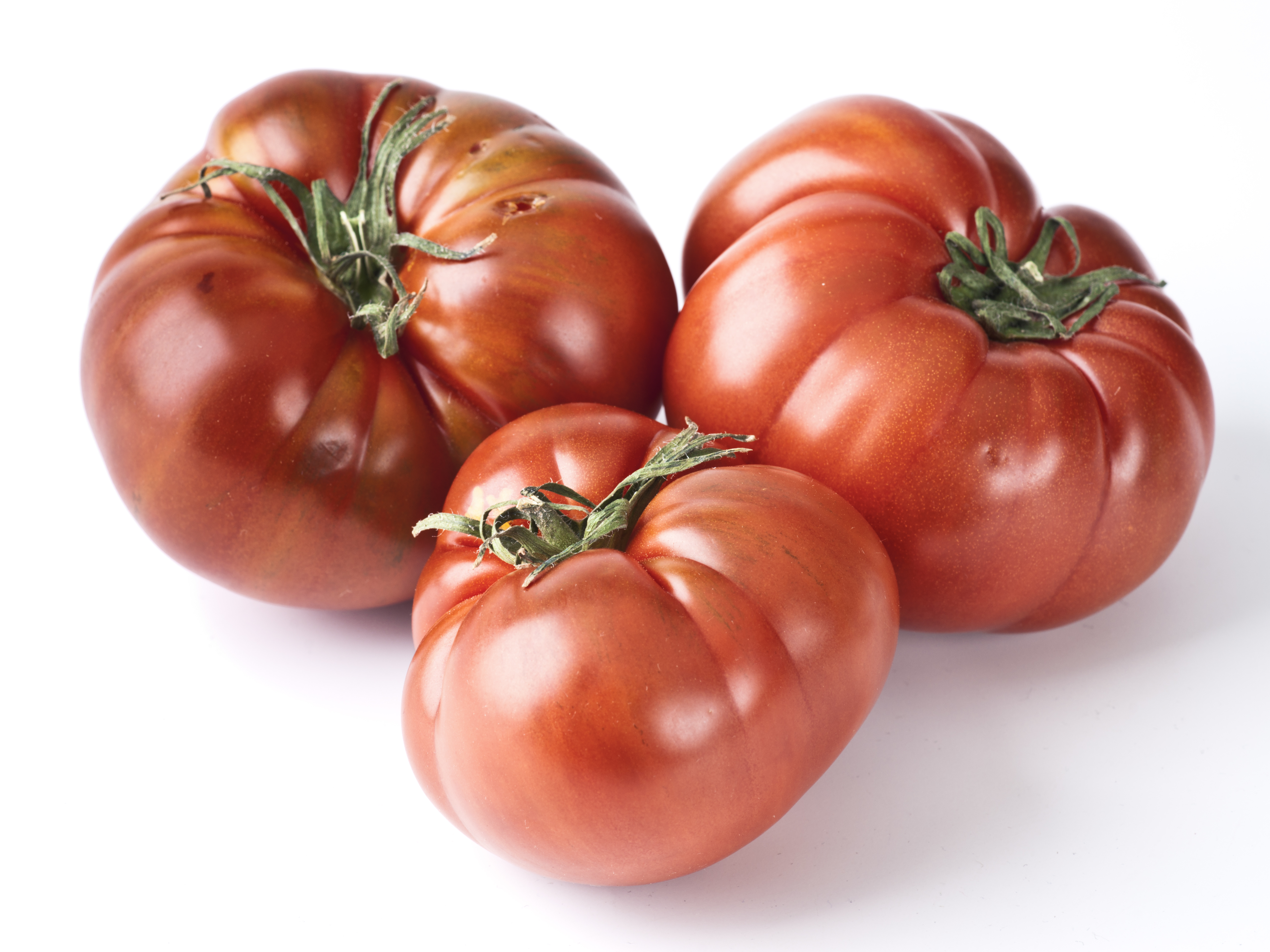 Tomaten Schwarze Krim