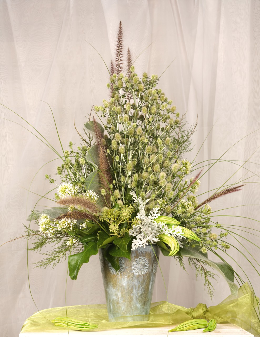 Eryngium planum Glitter White 100 K E131.1