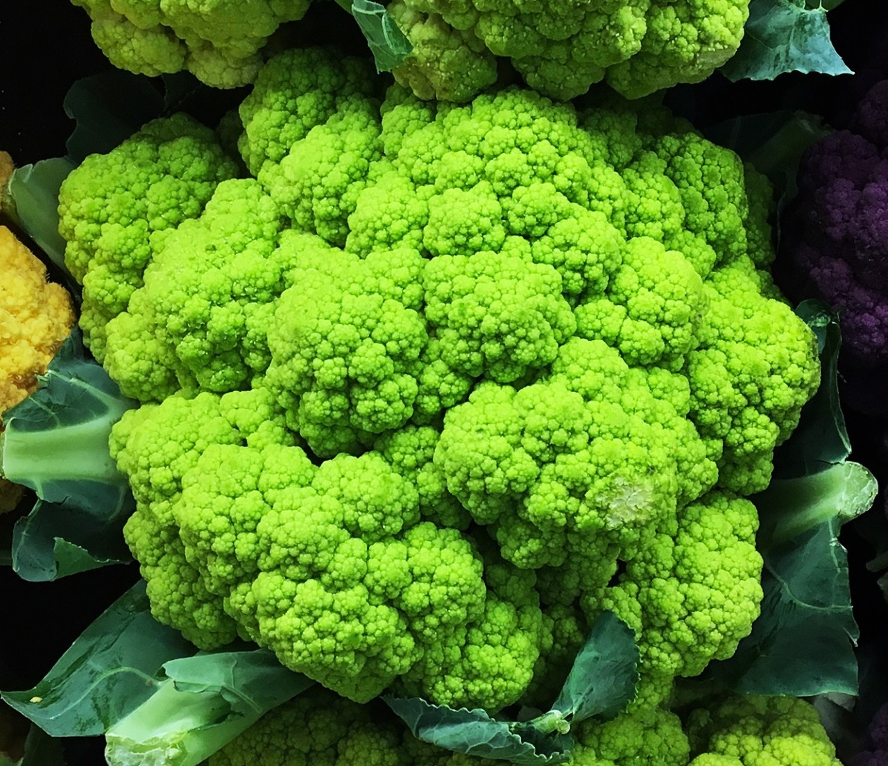 Blumenkohl Sorten im Überblick 2023